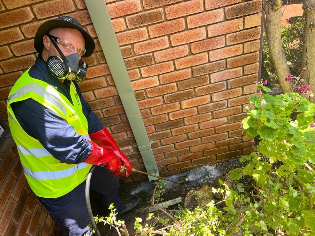 Mount Lawley Pest Control - Project 3