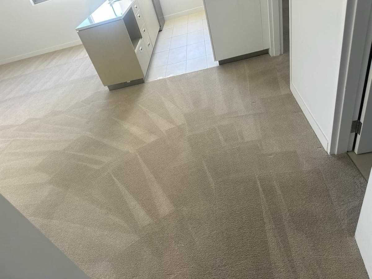 Multipurpose Cleaning Services