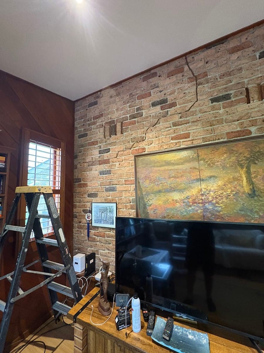 Pest Power Sydney | General Pest Control and Termite Treatment Specialist