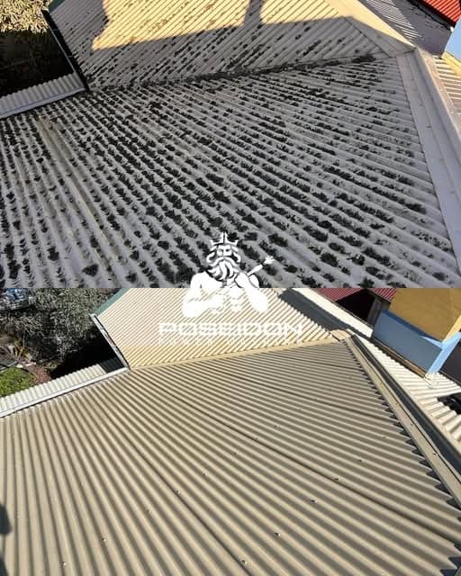 Poseidon Power Washing - Project 4