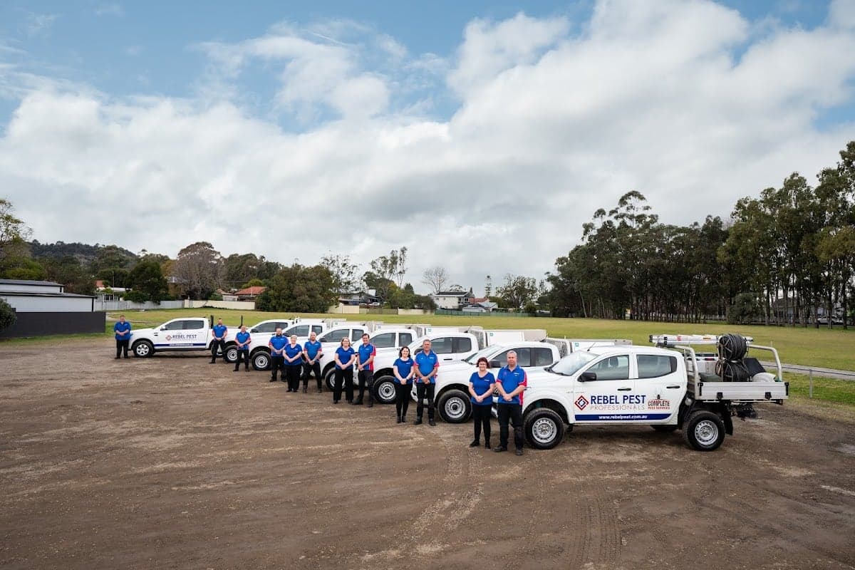 Rebel Pest Professionals - Project 2