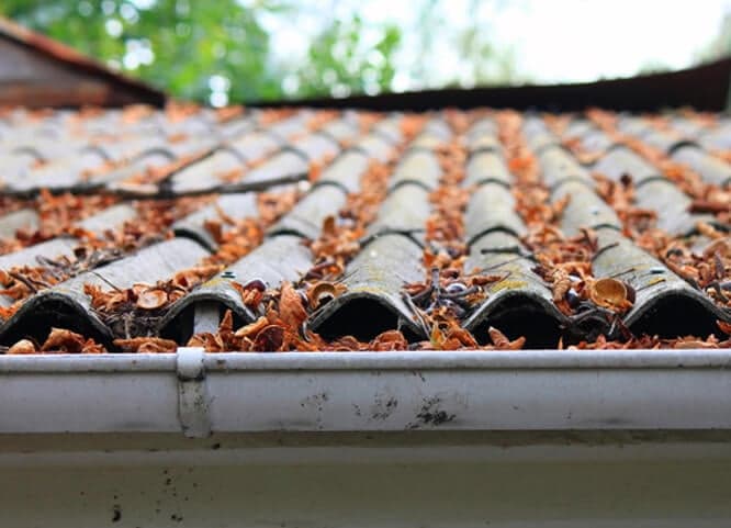 Roof Gutter Cleaning Melbourne