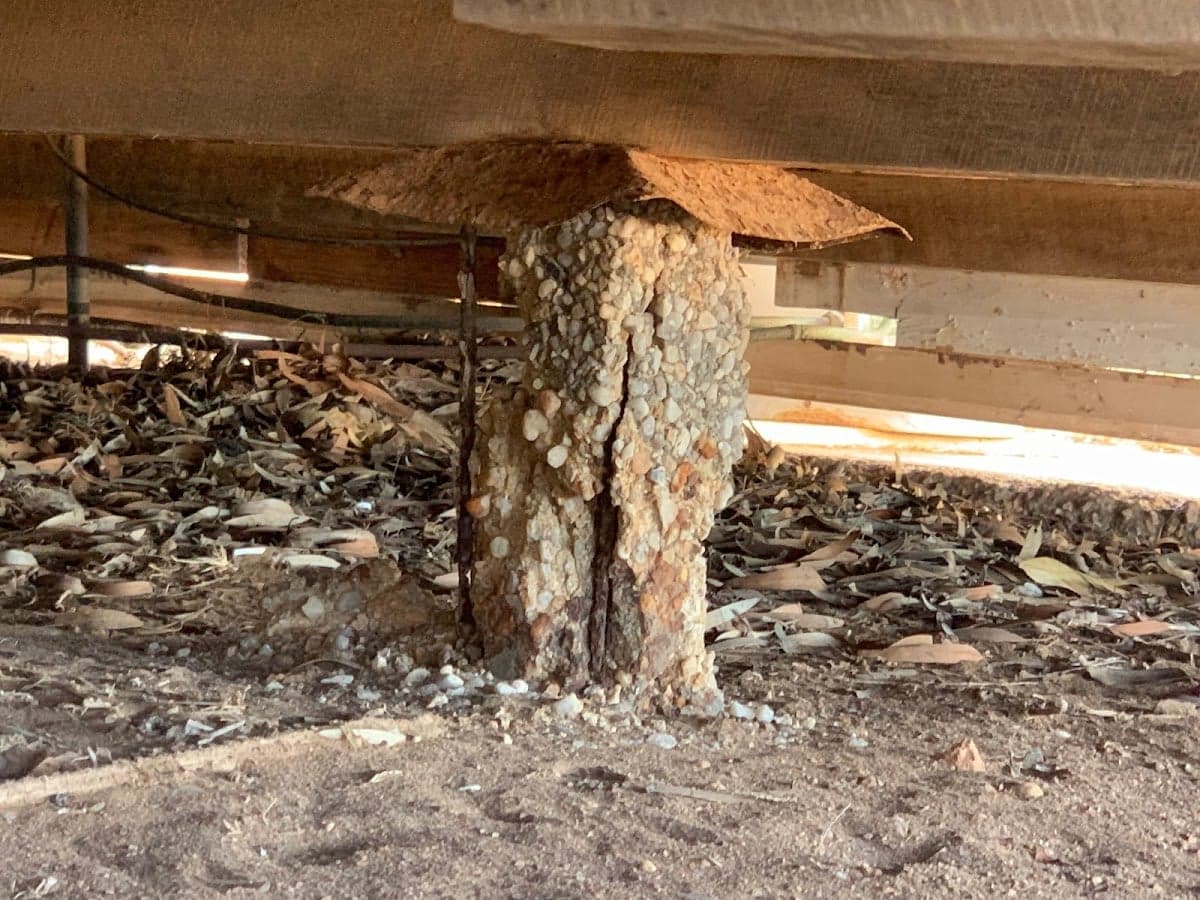 SA Residential Building Inspections - Project 2