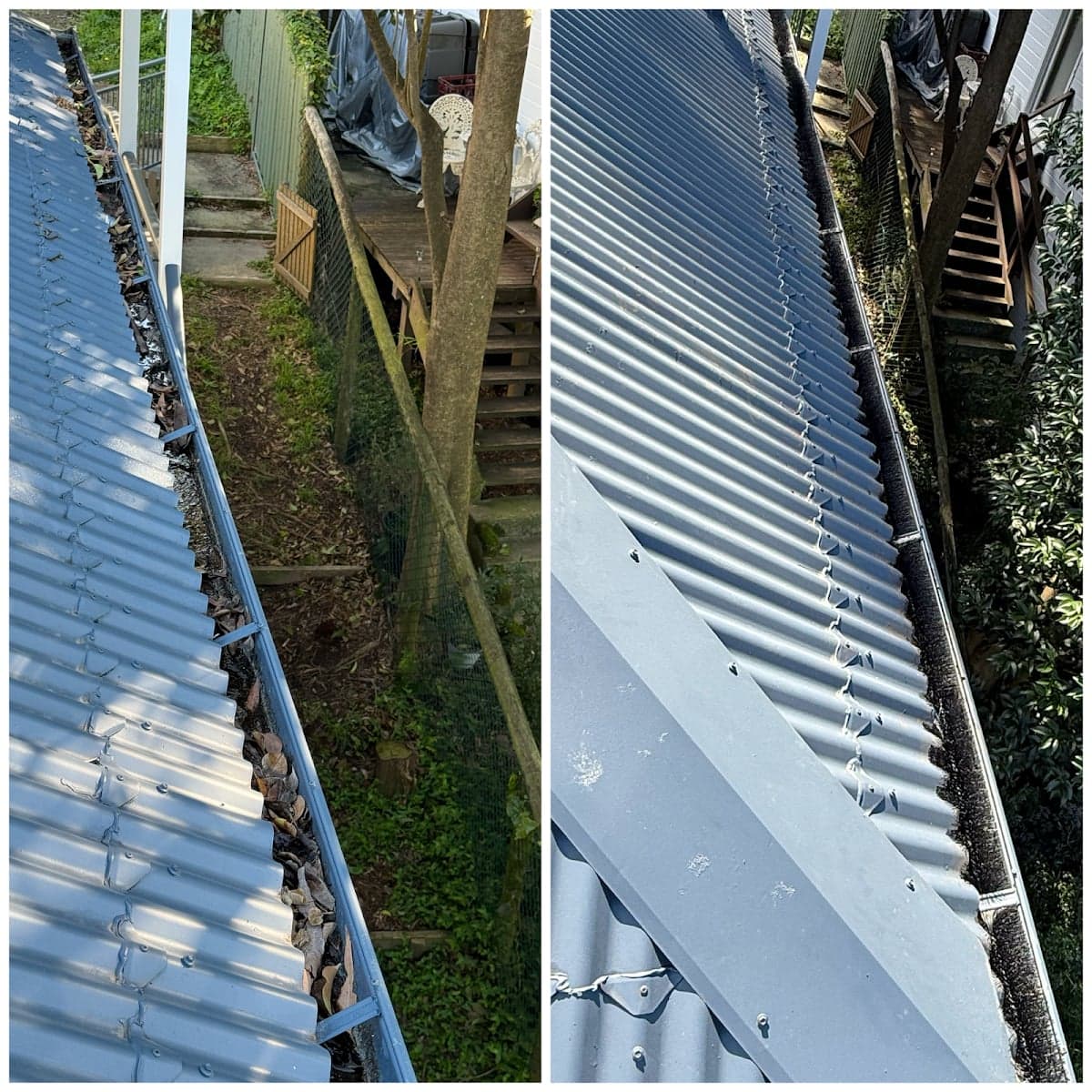 Shark Pressure Washing - Project 5