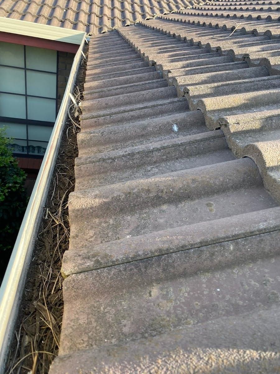 SwiftVac Gutter Cleaning - Project 5