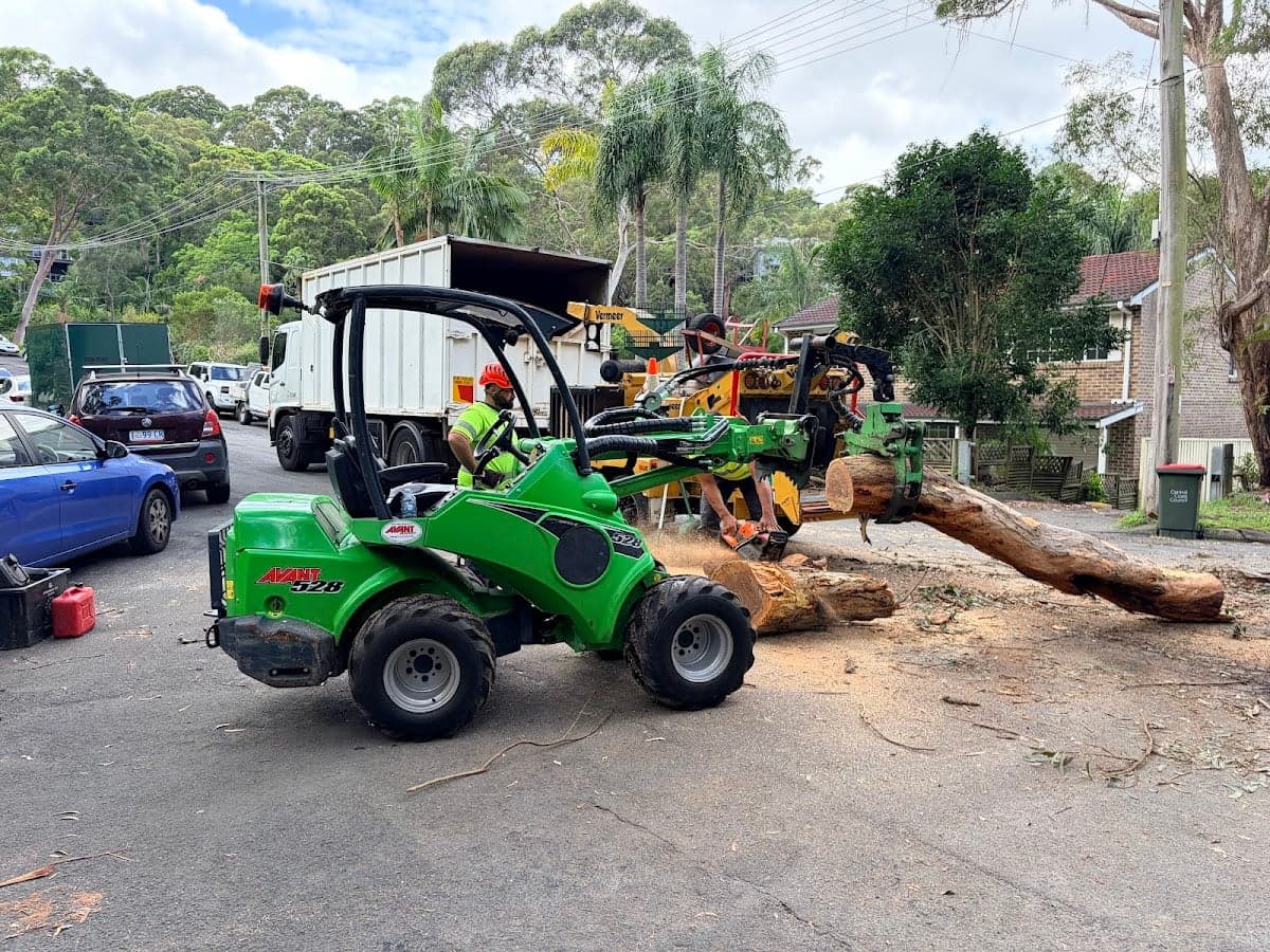 Sydney Wide Tree Cutting