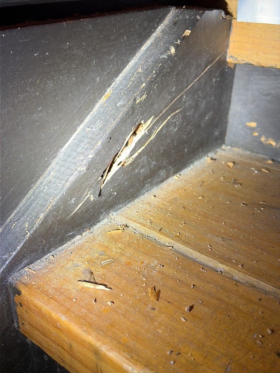 Termite Solutions Melbourne - Project 5