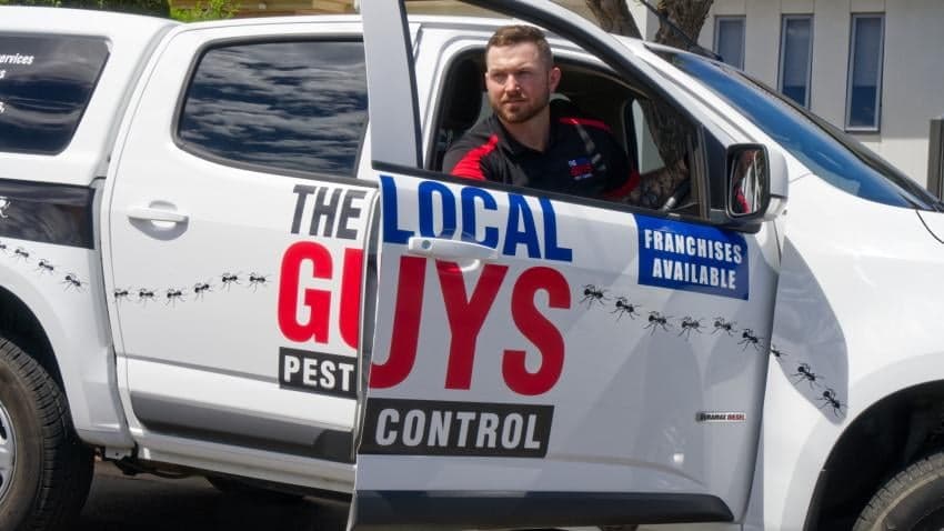 The Local Guys - Pest Control