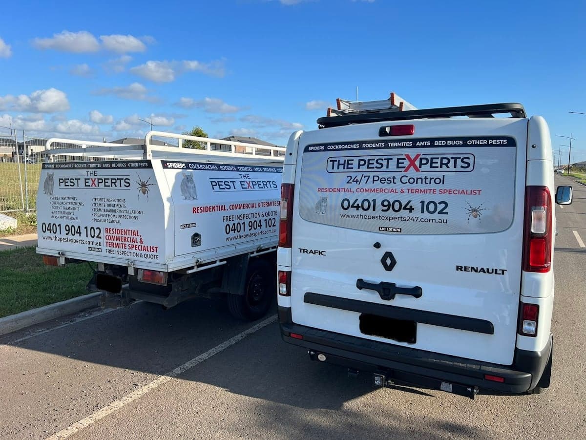 The Pest Experts - 24/7 Pest Control