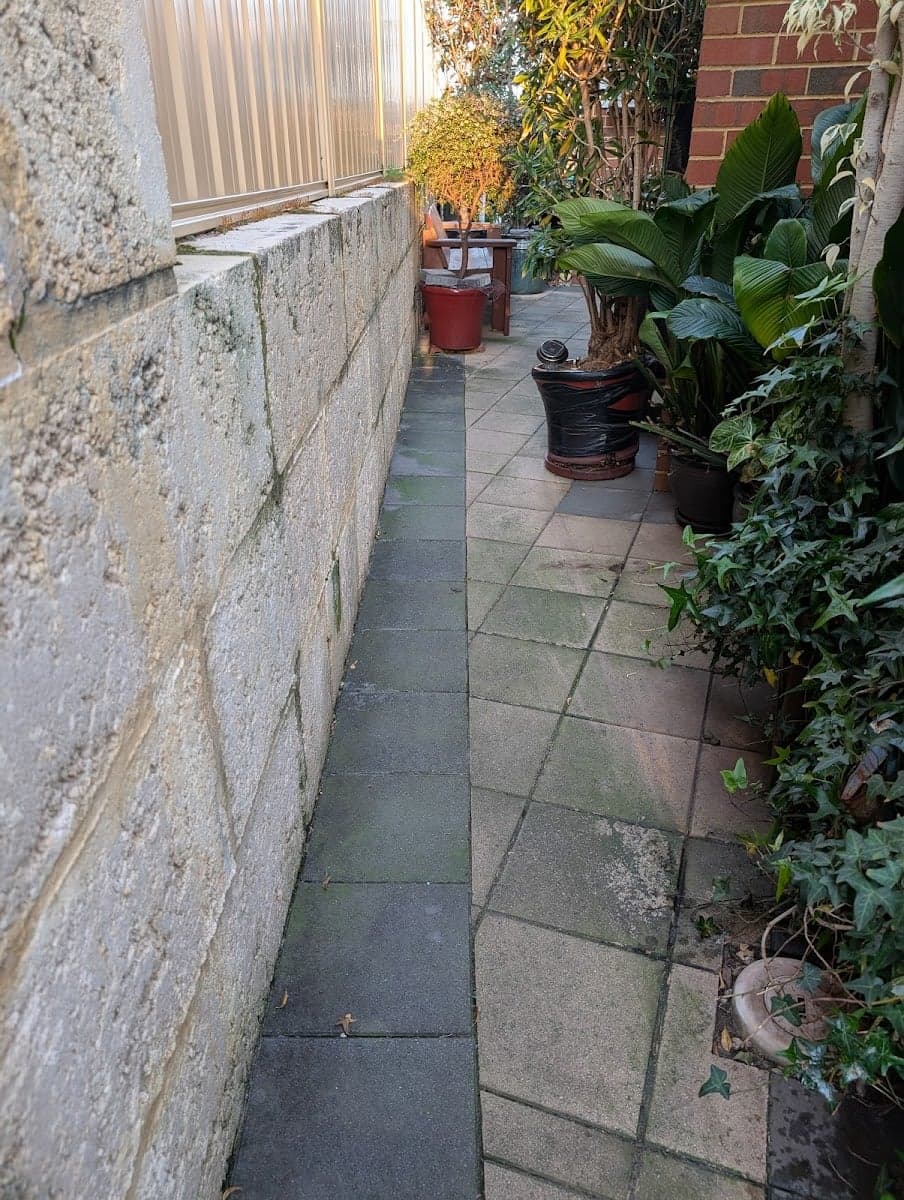 The Pressure Cleaning Guys - Project 5