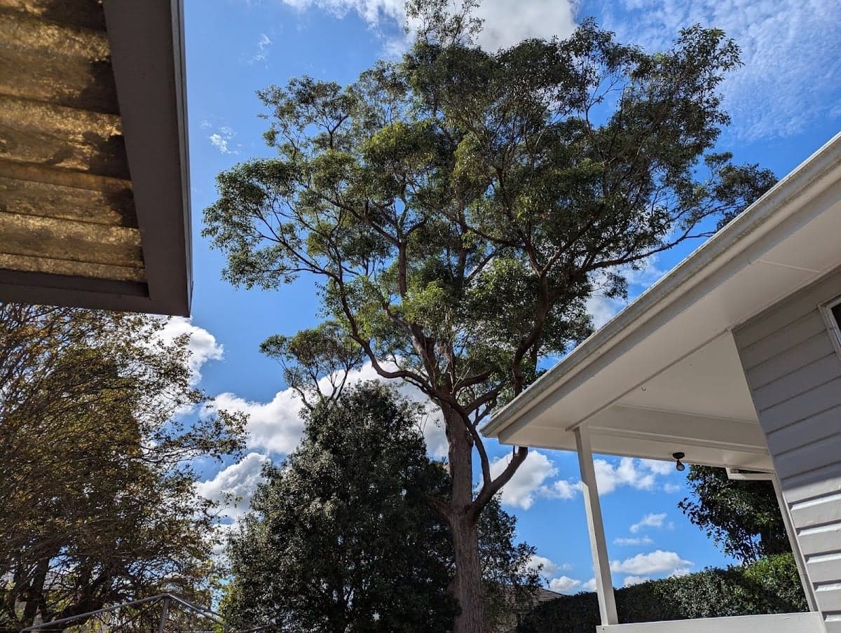 The Tree Cutting Company - Project 5