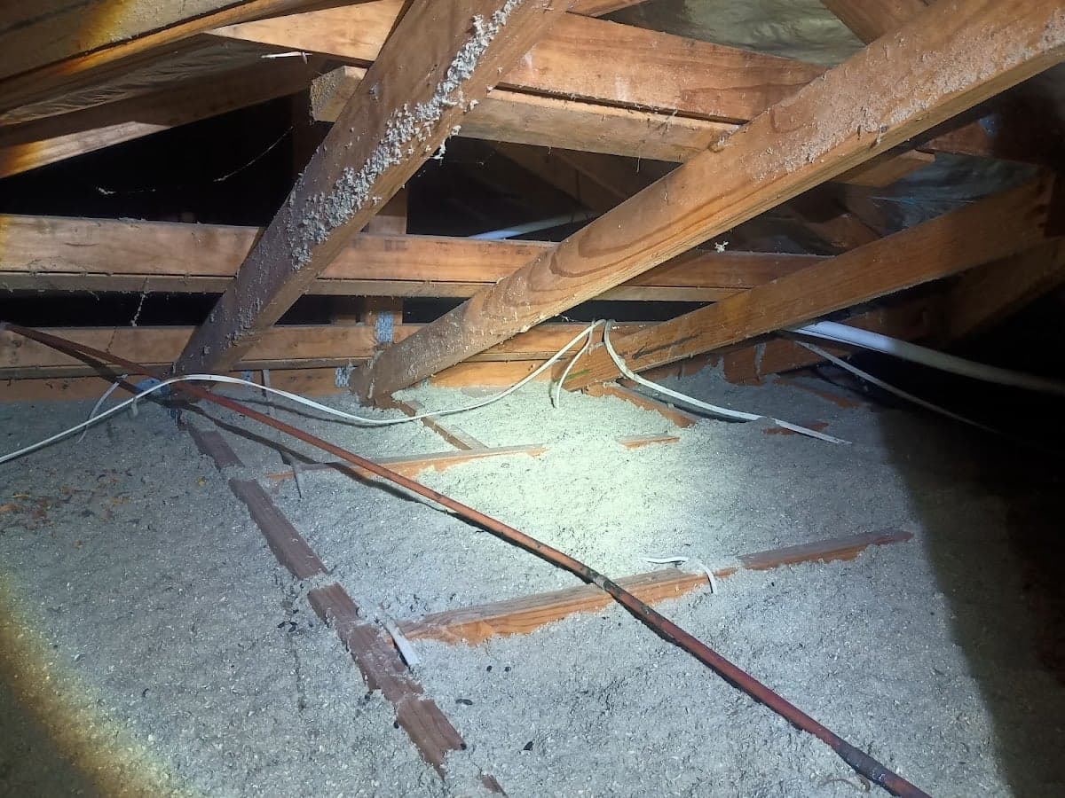 Thoroughcheck Building Inspections - Project 3