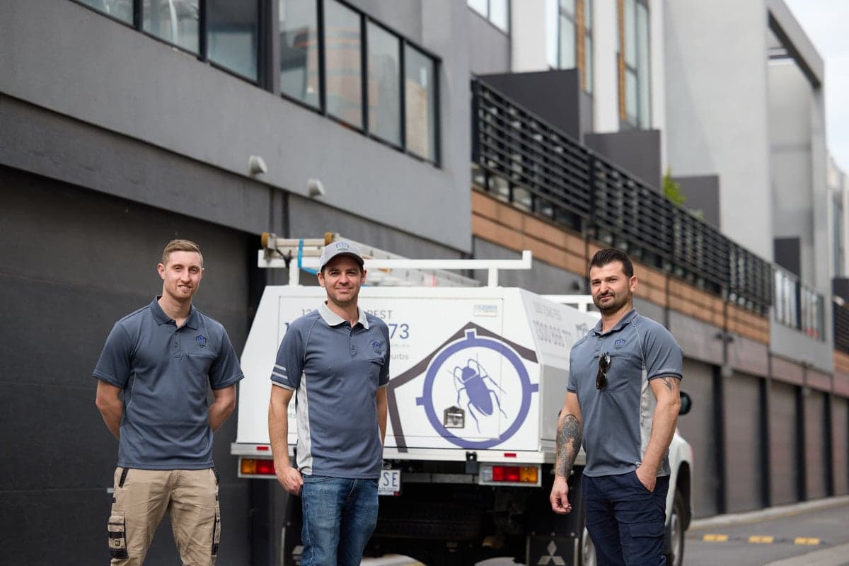 Tom's Pest Control Canberra