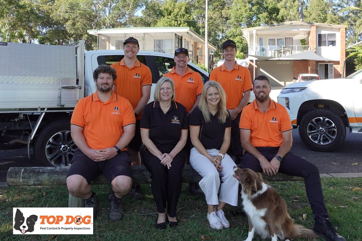 Top Dog Pest Control & Property Inspections