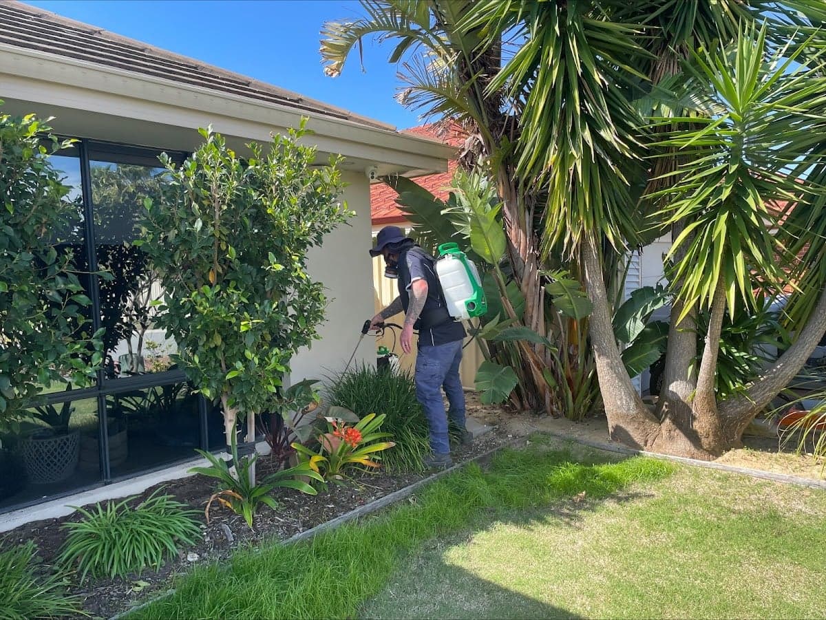 Western Shores Pest Control - Project 4