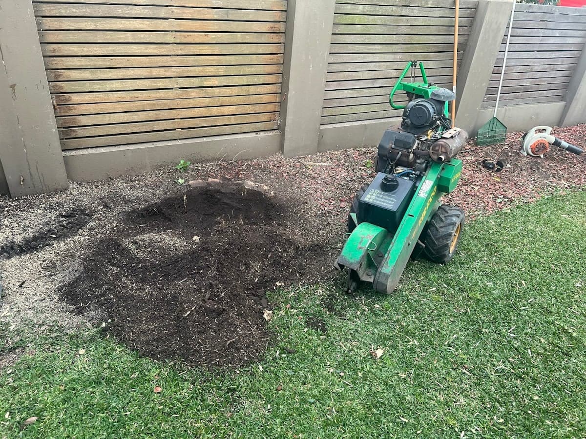 Western Sydney Stump Grinding & Tree Removal Services
