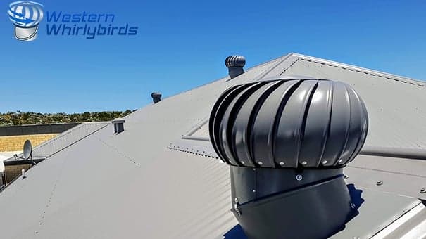 Western Whirlybirds cover