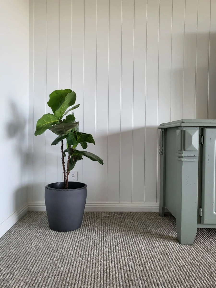 Brush & Colour Painting - Project 1