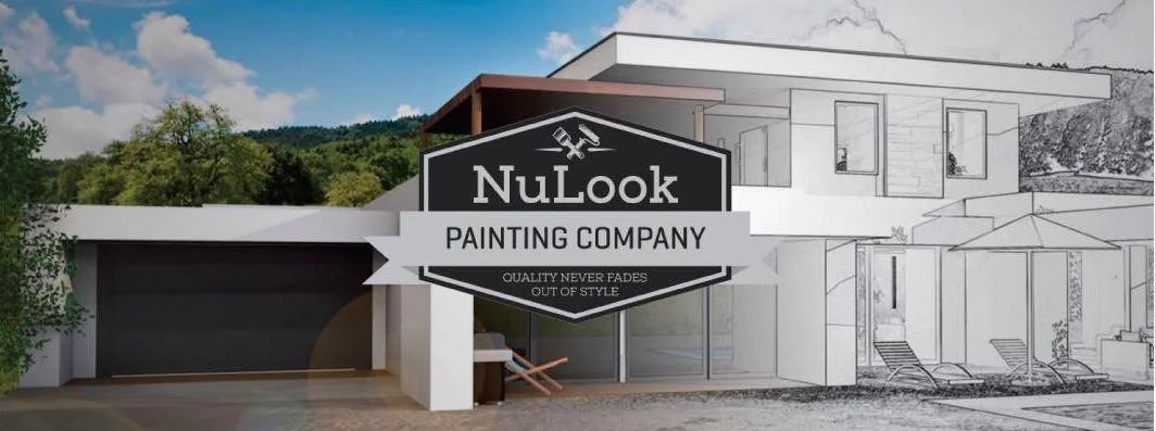 NuLook Painting - Project 1