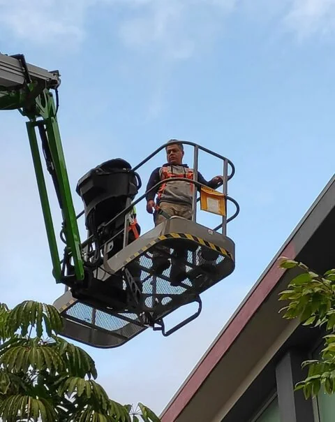 Master Painting - Main project