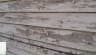 Lead Paint Removal