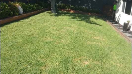 Melbourne Lawns and Maintenance - Project 1