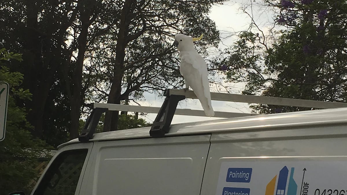 Floor to Roof - Project 1