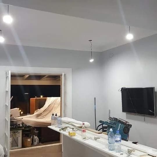 Bigwig Painting - Project 3