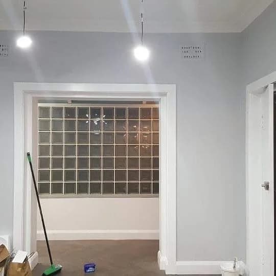 Bigwig Painting - Project 5