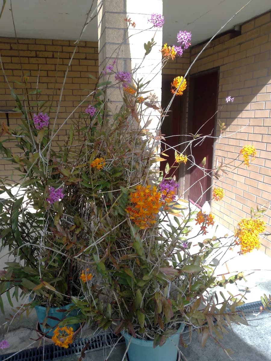 SS Painting And Decorating Services - Project 3