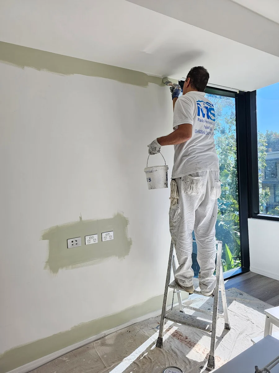 Mads Professional Painting - Project 1