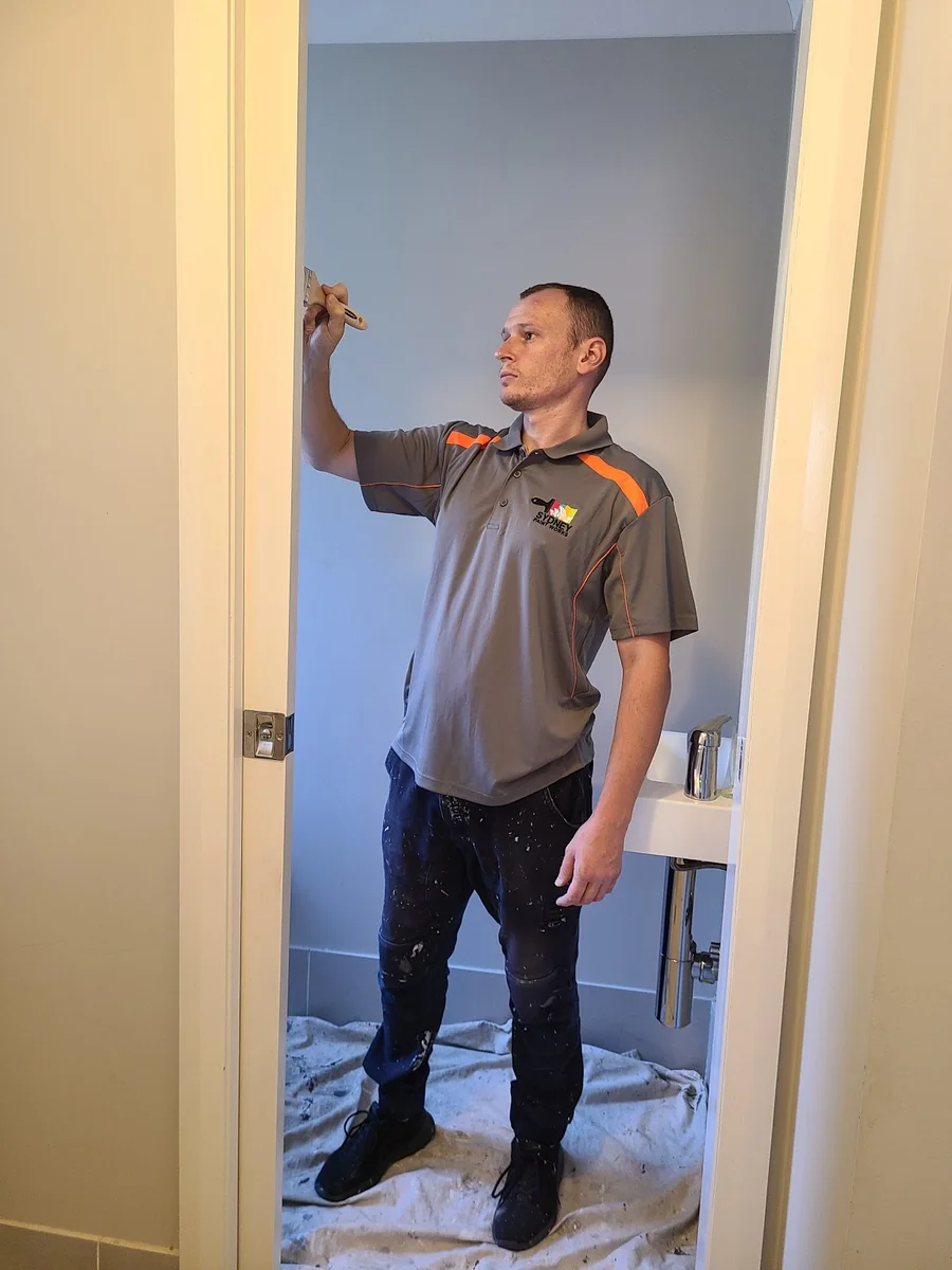 Sydney Paint Works - Main project