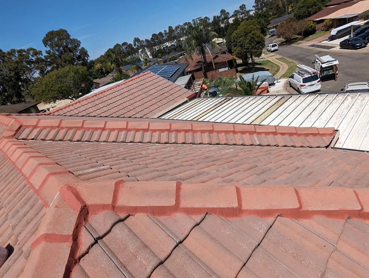 The Roof Mates - Main project