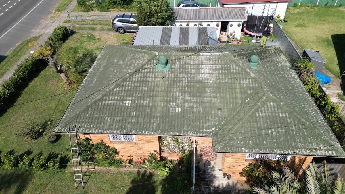 The Roof Mates - Project 3