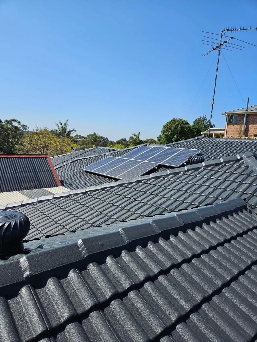 LUSH Painting - Main project