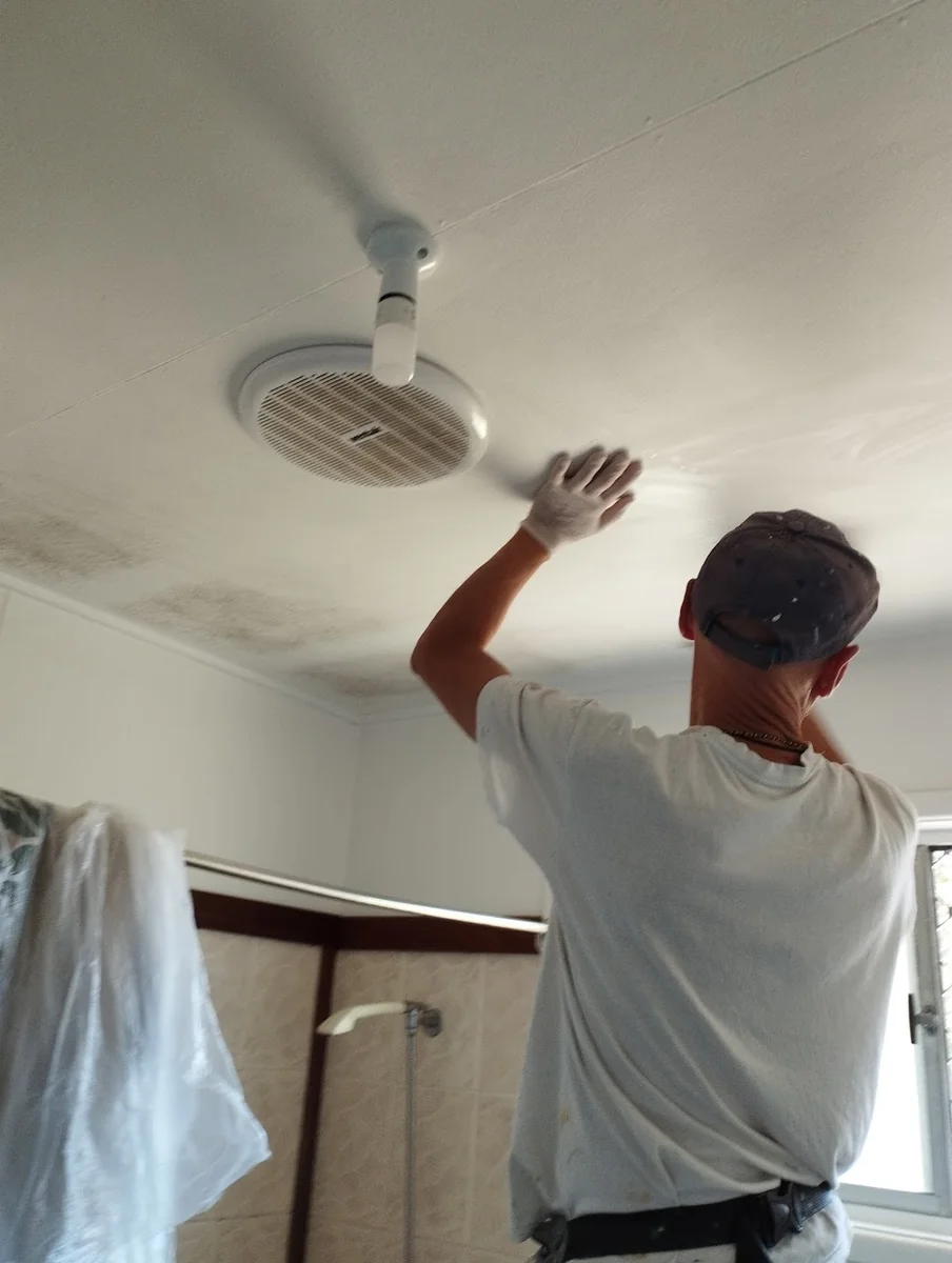 Local Home and Office Painters and Decorators Forest Lake - Project 1