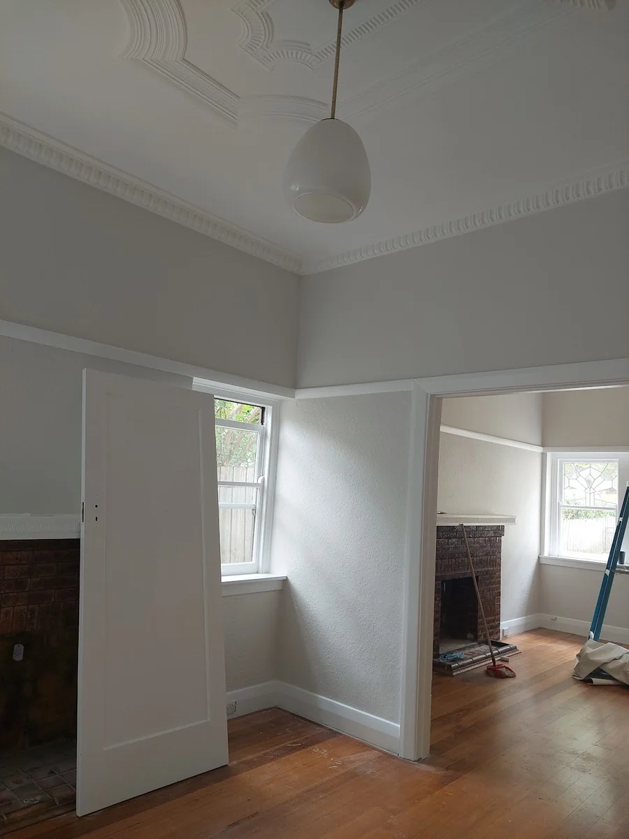 AAA Painting - Project 1