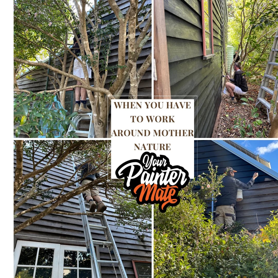 Van Didden's, Your Painter Mate - Project 1