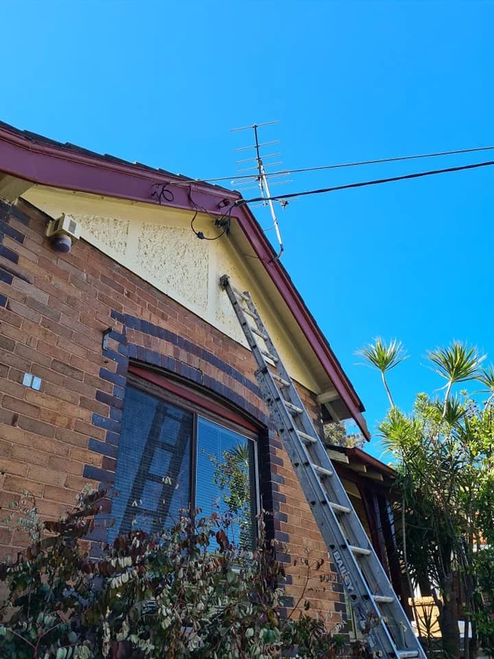 Fresh Paint - Project 4