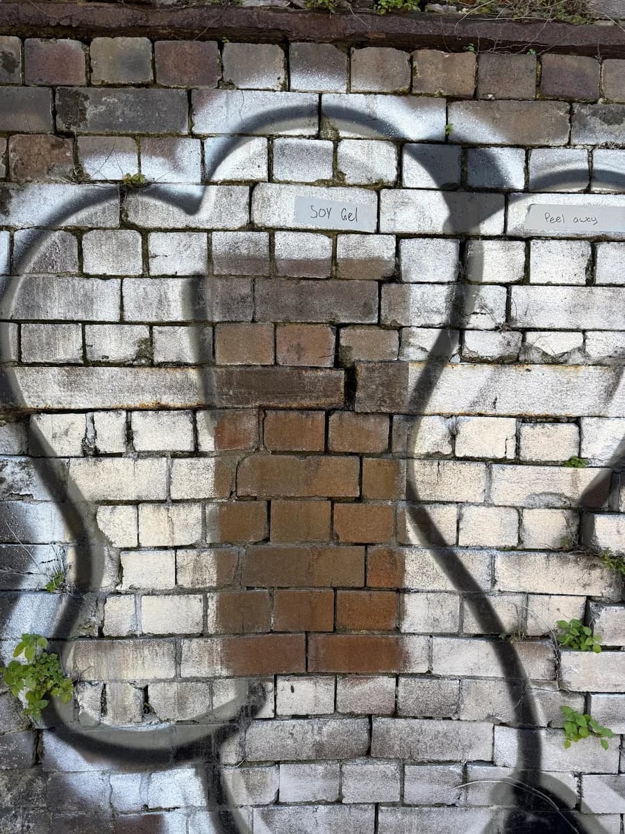 Sydney Paint Stripping - Project 3