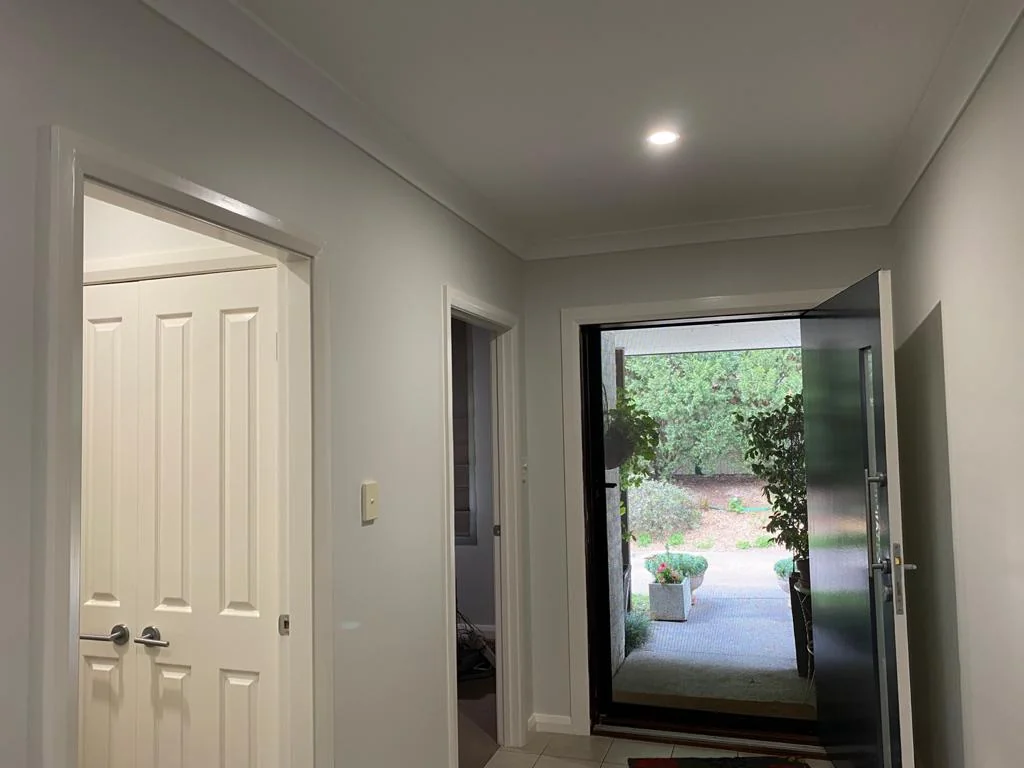 Daily Painting Services - Main project