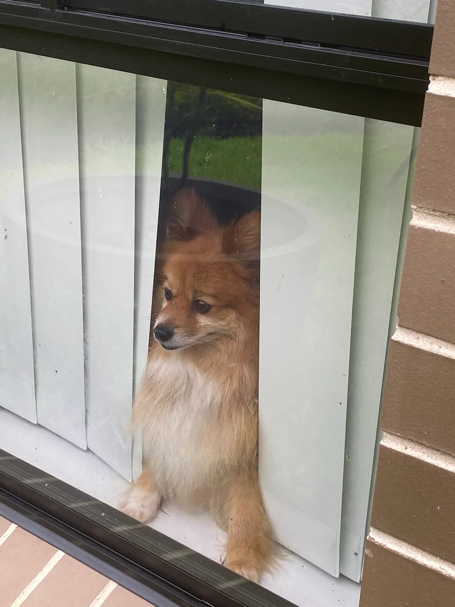 Blue Ribbon Painting - Project 1