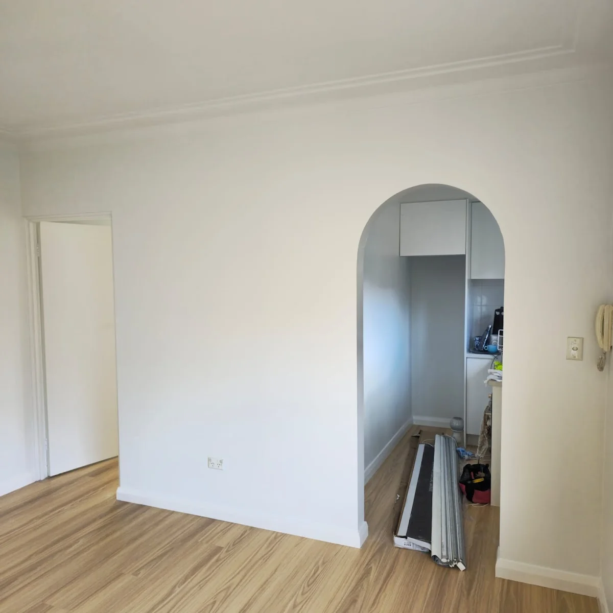 Panther painter - Project 2