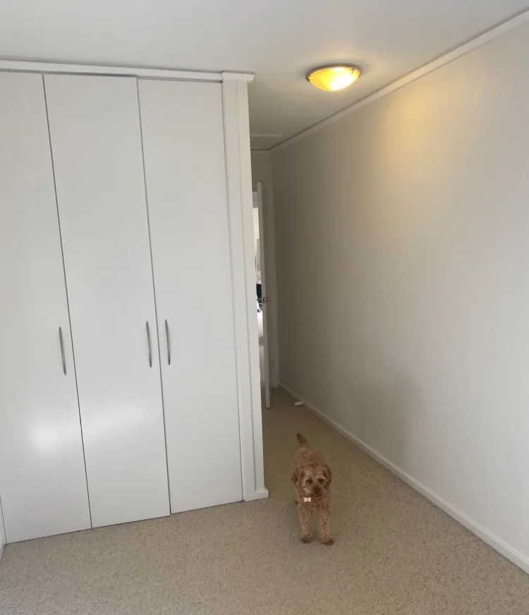 Luminous Ace Painting & Decorating - Project 1