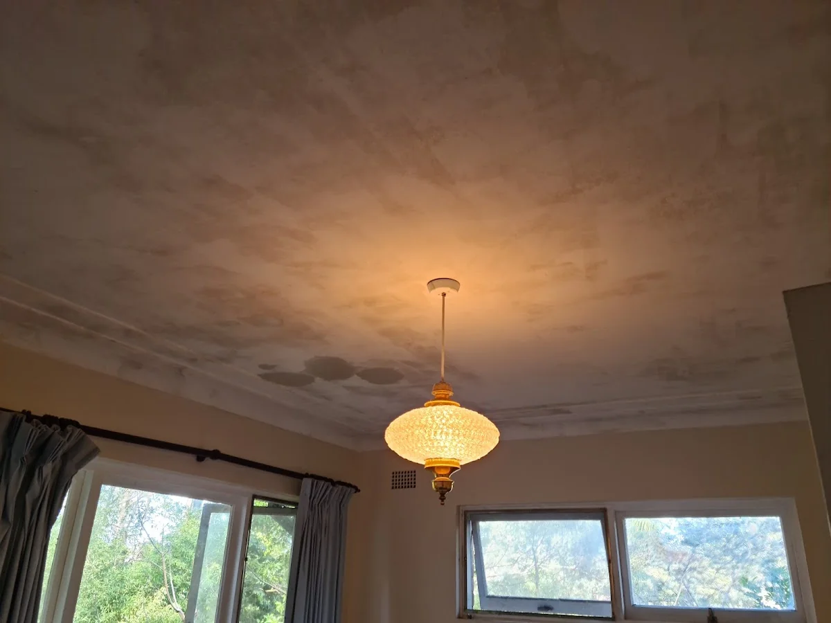 Afshin Painting Services - Main project