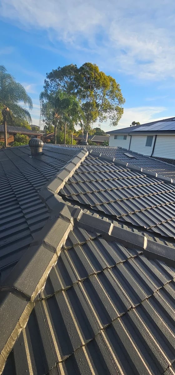 Phoenix Painting Service - Project 1