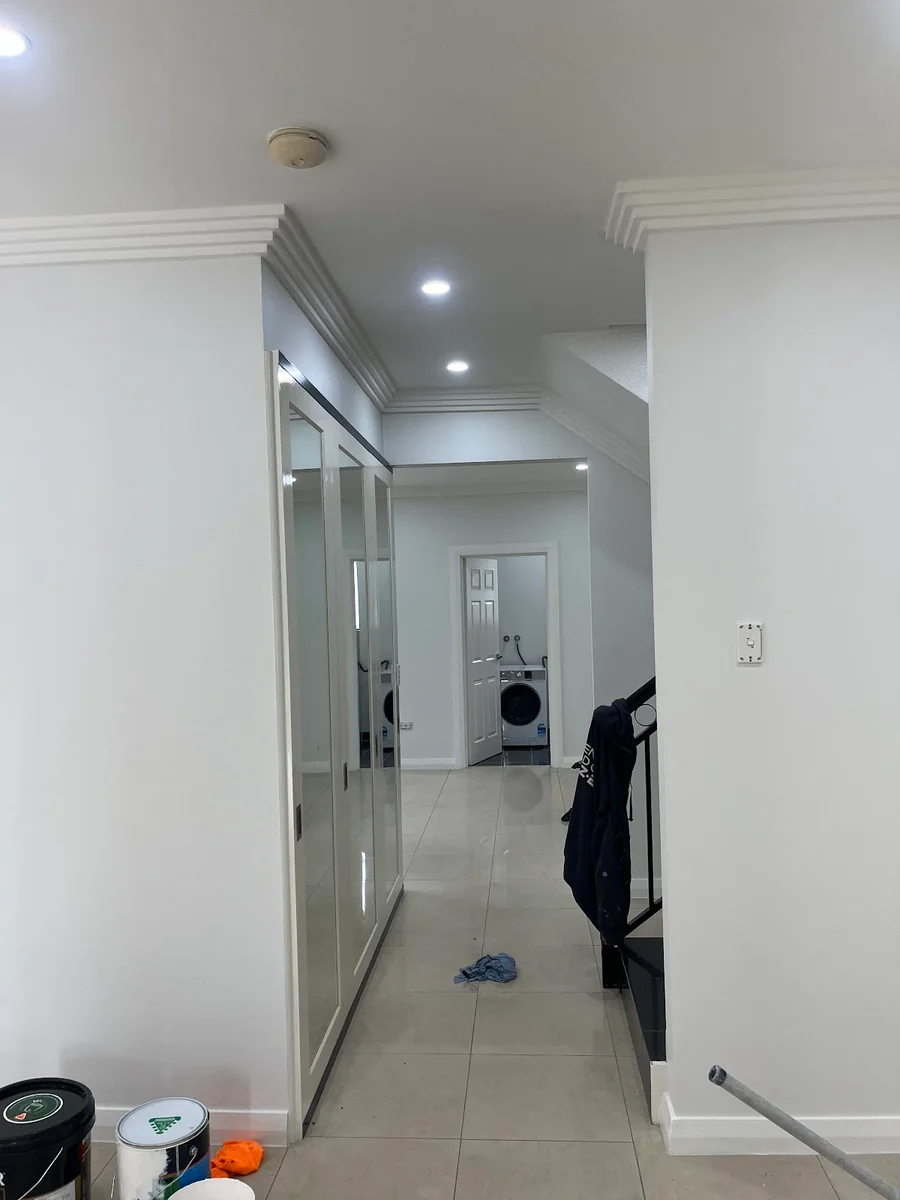 Evolution Painting and Decoration - Project 2